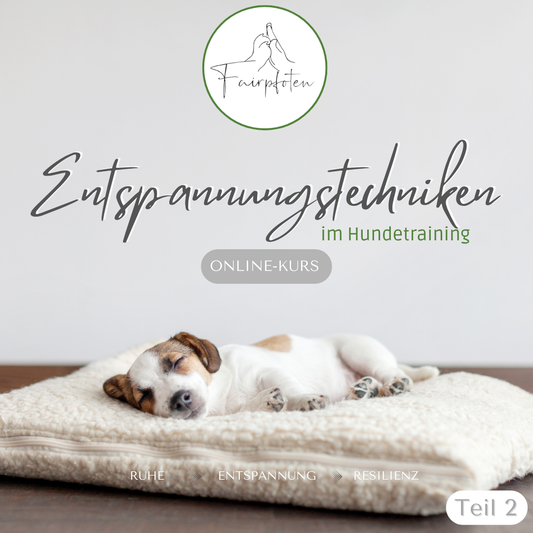 Early bird-Preis! - Entspannungstechniken im Hundetraining - Teil 2 (Online-Kursstart ab 15.03.2026)