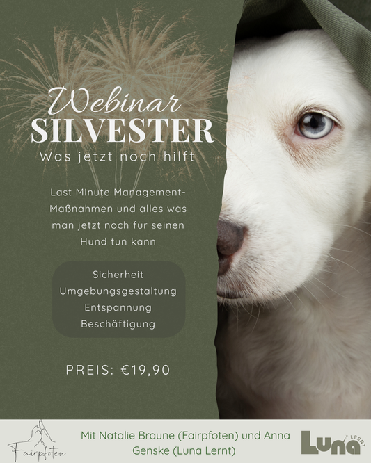 "Silvester Last Minute - Was jetzt noch hilft" mit Natalie Braune (Fairpfoten) und Anna Genske (Luna lernt)